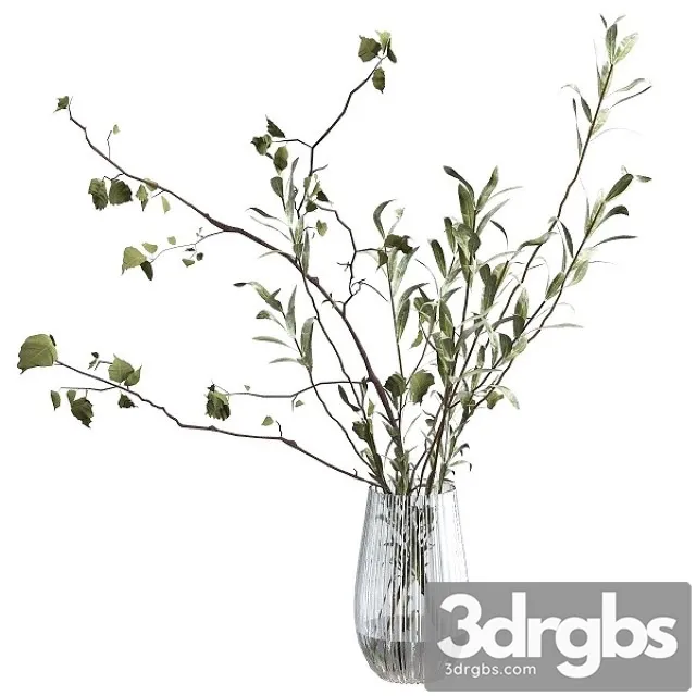 Bouquet of Branche 3D Model Free