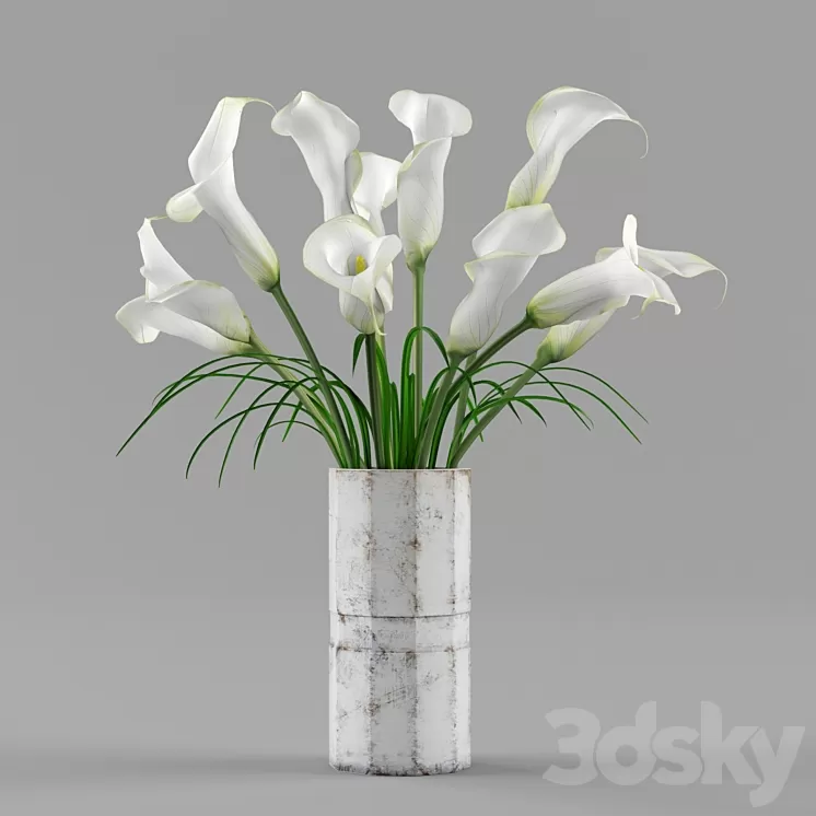 Bouquet of callas 3D Model