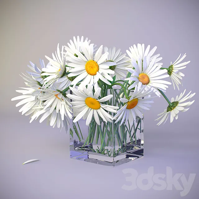 Bouquet of daisies 3D Model
