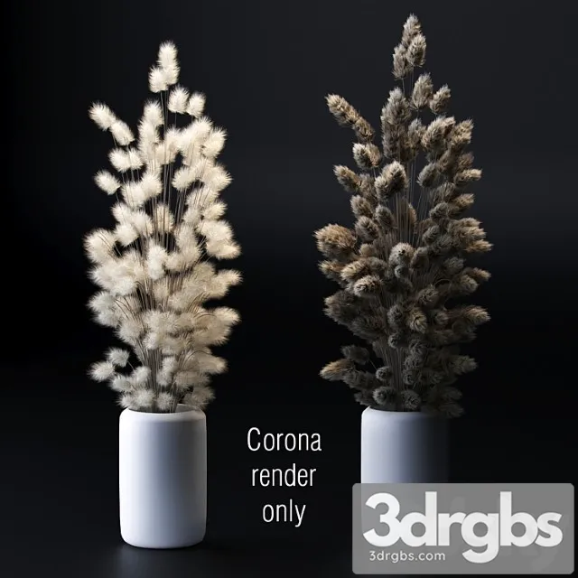 Bouquet of Dried Flowers 2 Models 3D Model Free