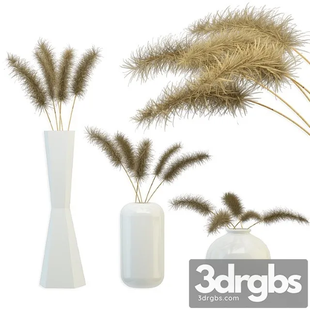 Bouquet Of Dried Flowers 3D Model Free