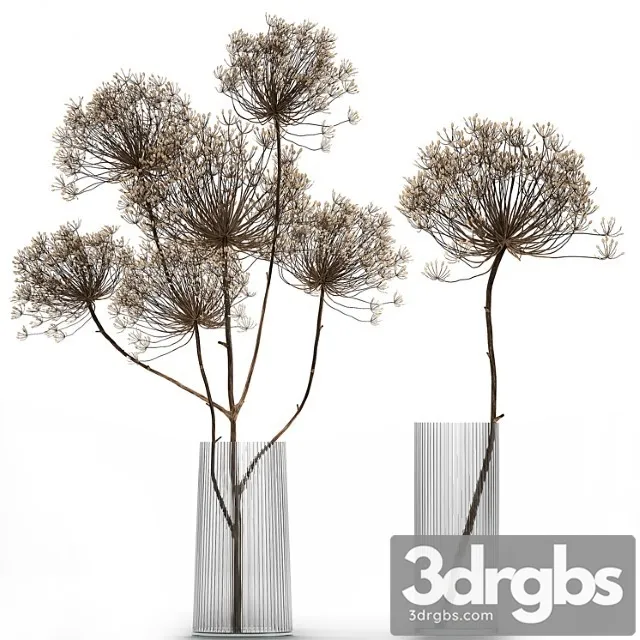 Bouquet Of Dried Flowers In A Glass Vase With Dry Branches Hogweed 158 3D Model Free