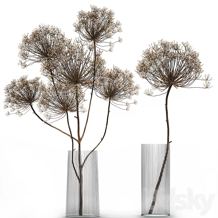 Bouquet of dried flowers in a glass vase with dry branches Hogweed . 158. 3D Model Free