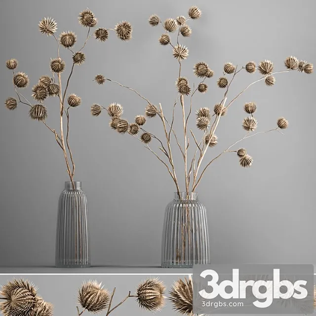 Bouquet of Dried Flowers in a Vase With Branches of Dry Thorns Thistle 182 3D Model Free