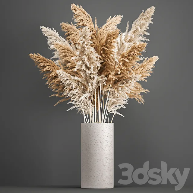 Bouquet of dried flowers in a white vase with pampas Pampas grass Cortaderia branch. 192. 3D Model