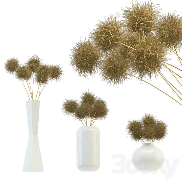 Bouquet of dried round flowers 3DModel