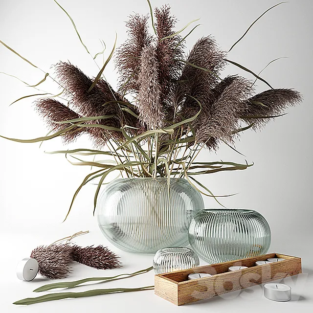 Bouquet of dry grass in a glass vase 3DModel