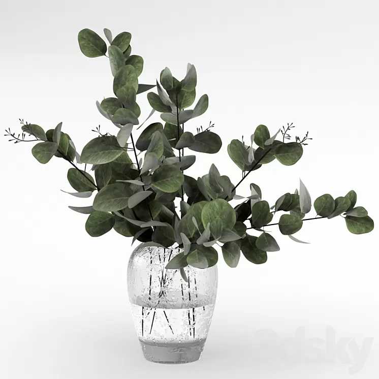 Bouquet of eucalyptus 3D Model
