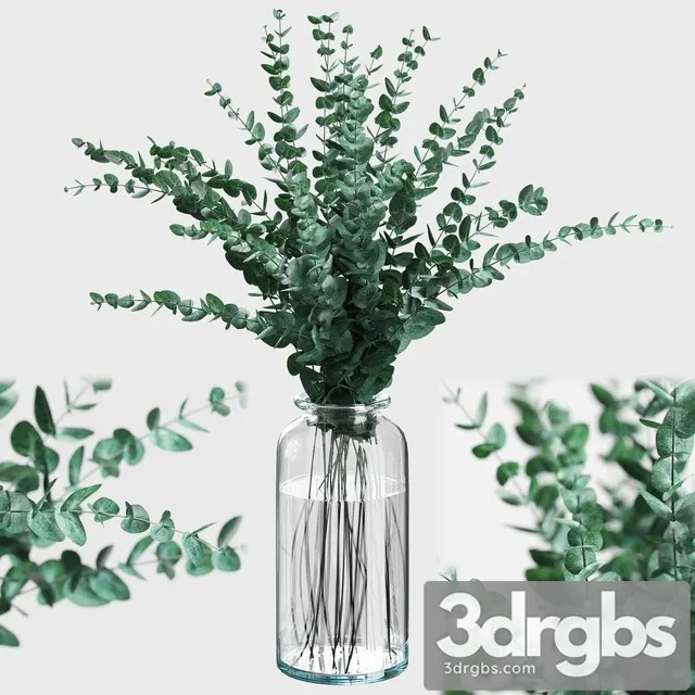 Bouquet of Eucalyptus Branches 3D Model Free