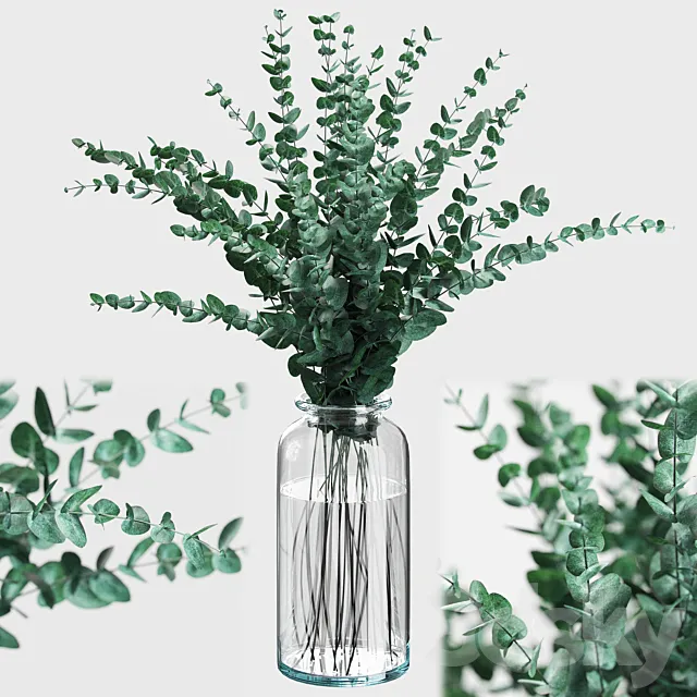 Bouquet of eucalyptus branches 3D Model