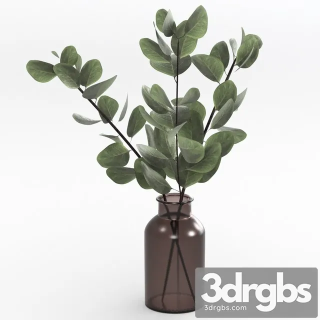 Bouquet of Eucalyptus Twigs 3D Model Free