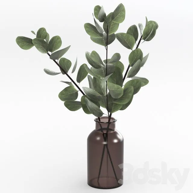 Bouquet of eucalyptus twigs 3D Model