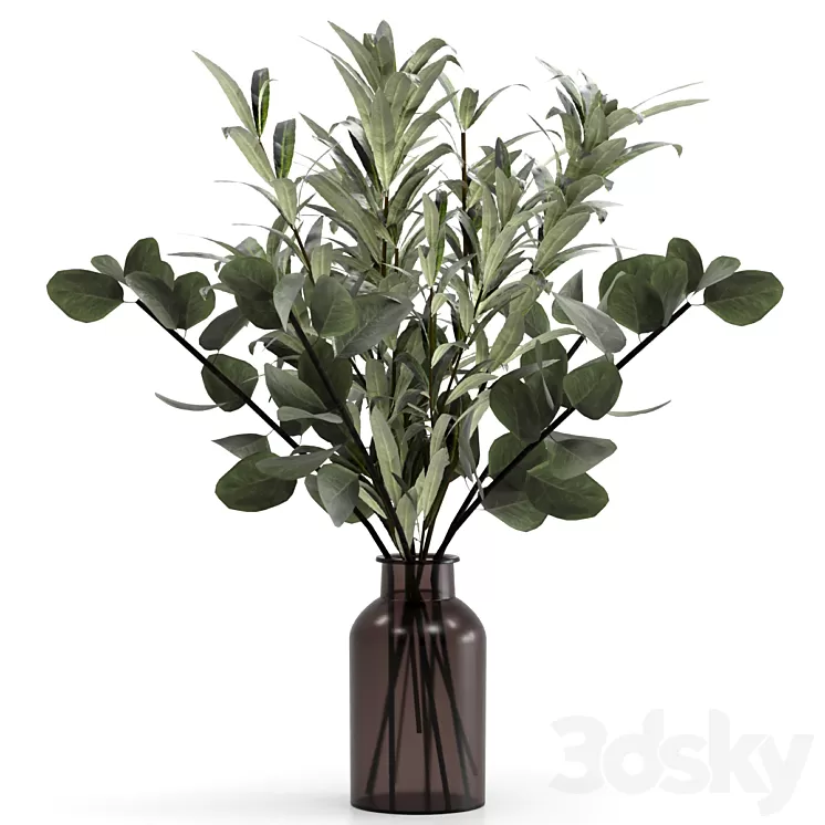 Bouquet of eucalyptus twigs and olives. 3D Model