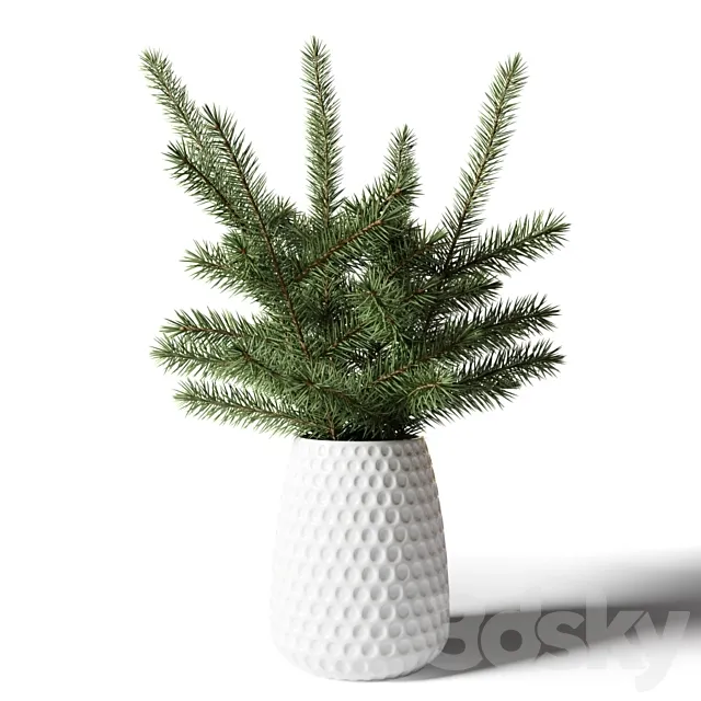 Bouquet of fir branches in a white vase 3DModel