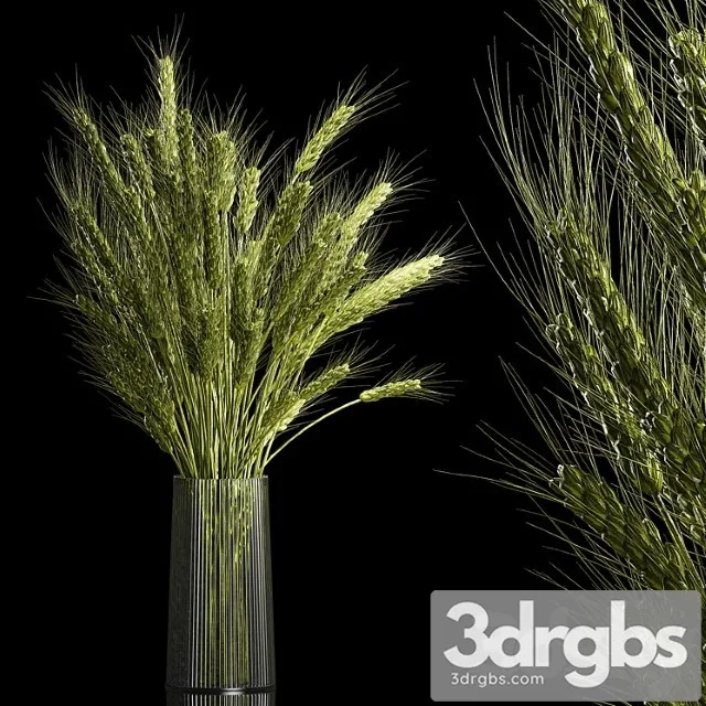 Bouquet of Green Flowers in a Glass Vase for Decor from Wheat Branches Spikelet 265 3D Model Free