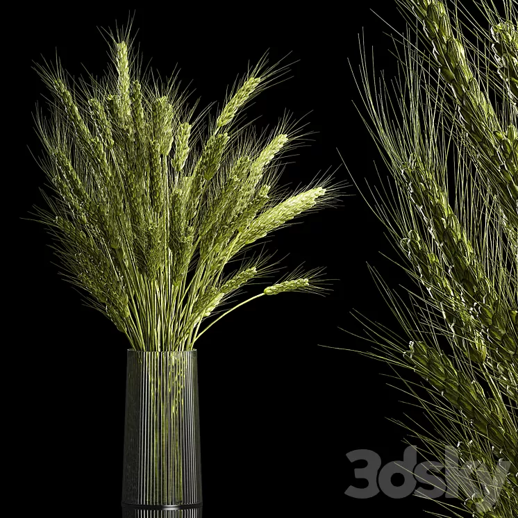 Bouquet of green flowers in a glass vase for decoration of wheat branches spikelet. 265. 3D Model Free Download