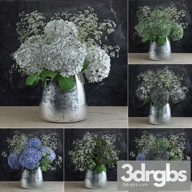 Bouquet Of Gypsophila With Hyndrangeas 1 3D Model Free
