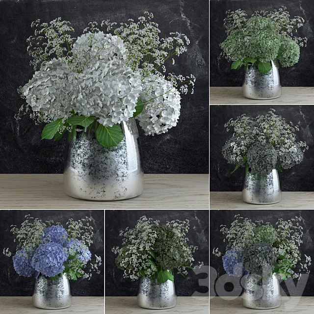 Bouquet of Gypsophila with Hyndrangeas 3DModel