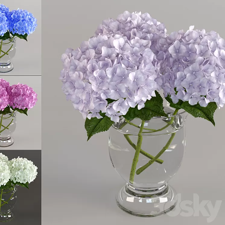 Bouquet of hydrangeas 3D Model