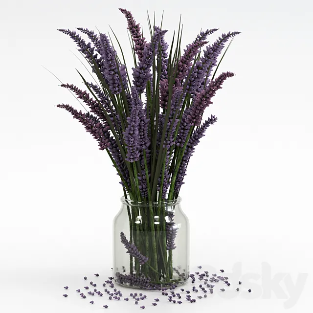 Bouquet of lavender. 3D Model