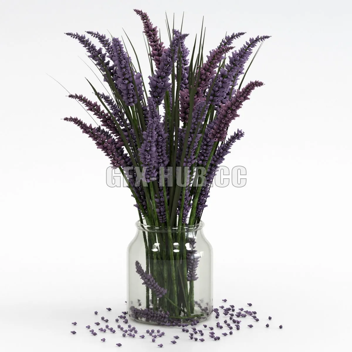 Bouquet of lavender 3D Model