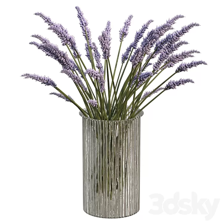 Bouquet of lavender 3D Model Free