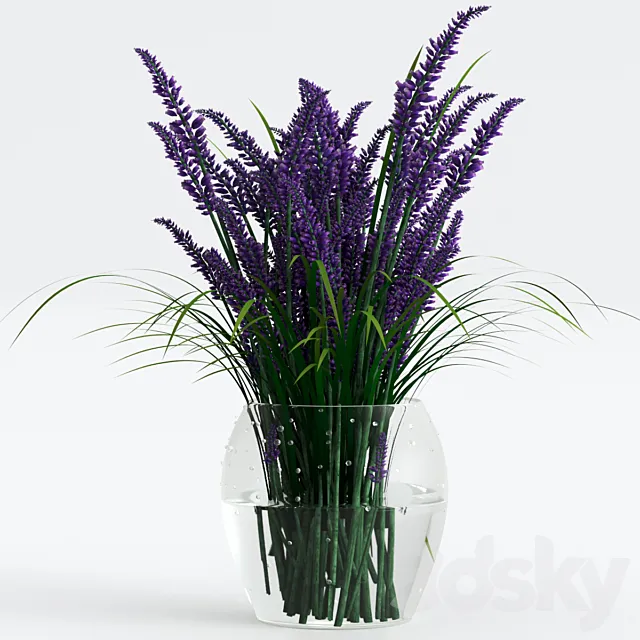 Bouquet of lavender. 3DModel