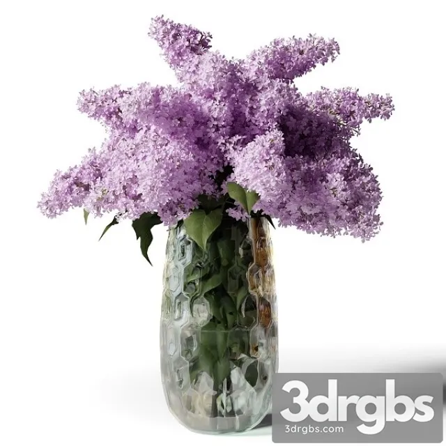 Bouquet of Lilacs in a Modern Tall Vase 3D Model Free