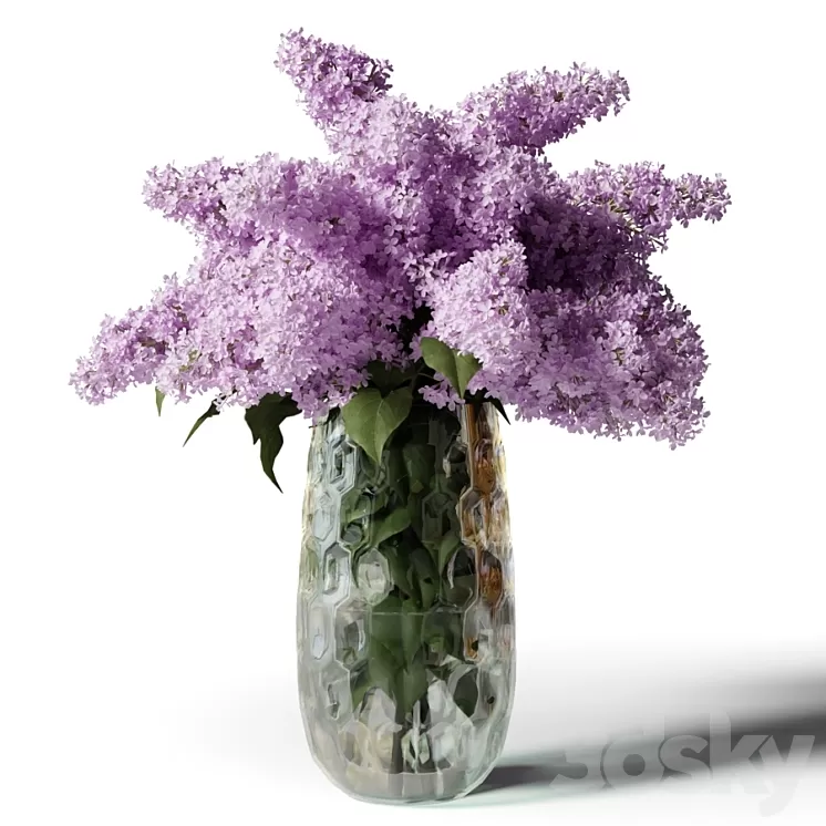 Bouquet of lilacs in a modern tall vase 3D Model