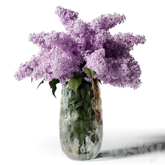 Bouquet of lilacs in a modern tall vase 3DModel