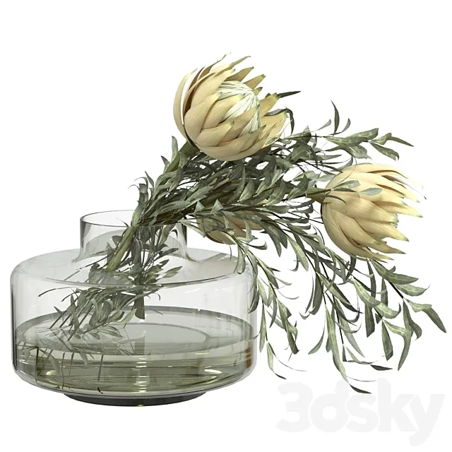 Bouquet of olive and protea branches 3D Model