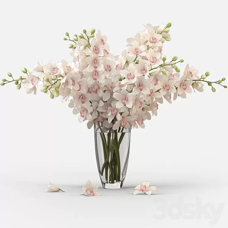 Bouquet of orchids 3D Model