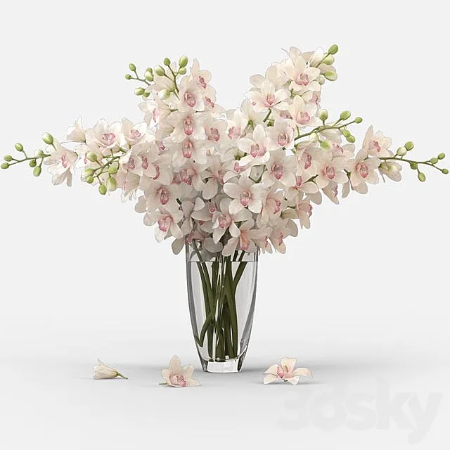 Bouquet of orchids 3DModel