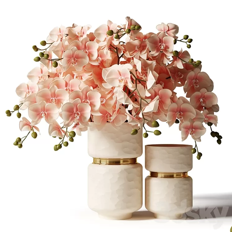 Bouquet of pink orchids in a modern beige vase 3D Model Free