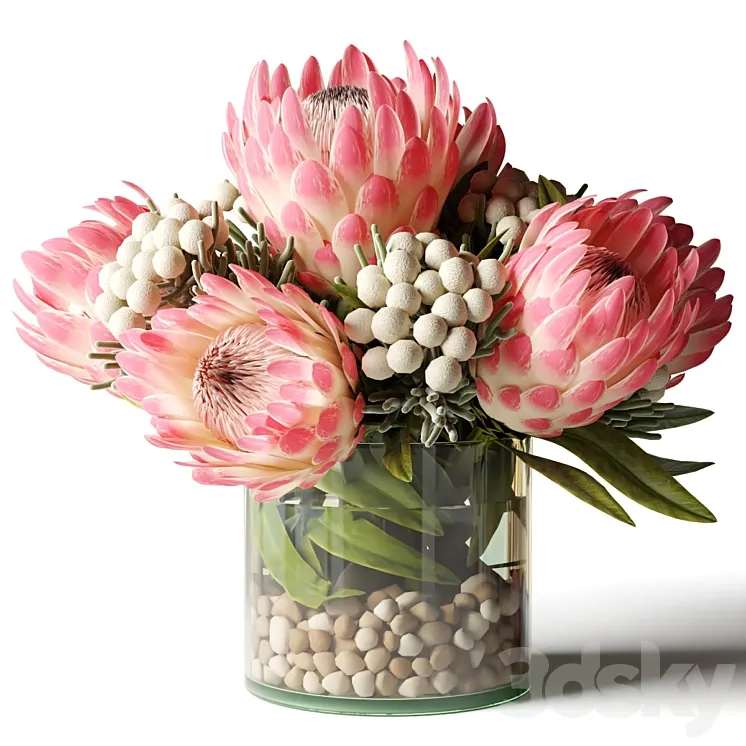 Bouquet of pink proteas with balls 3D Model Free