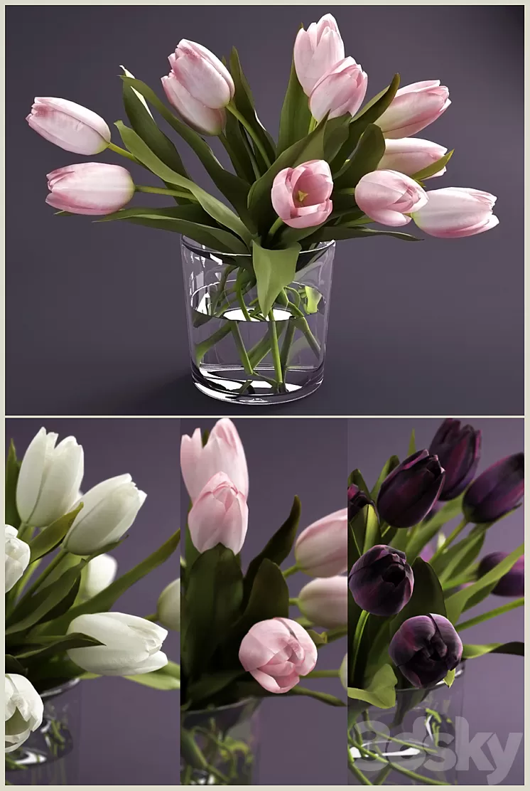 Bouquet of tulips 3D Model