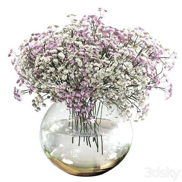 Bouquet of white and pink gypsophila 3D Model