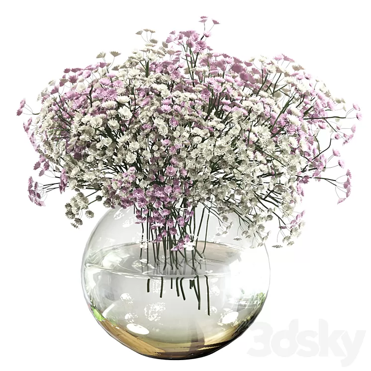 Bouquet of white and pink gypsophila 3D Model Free
