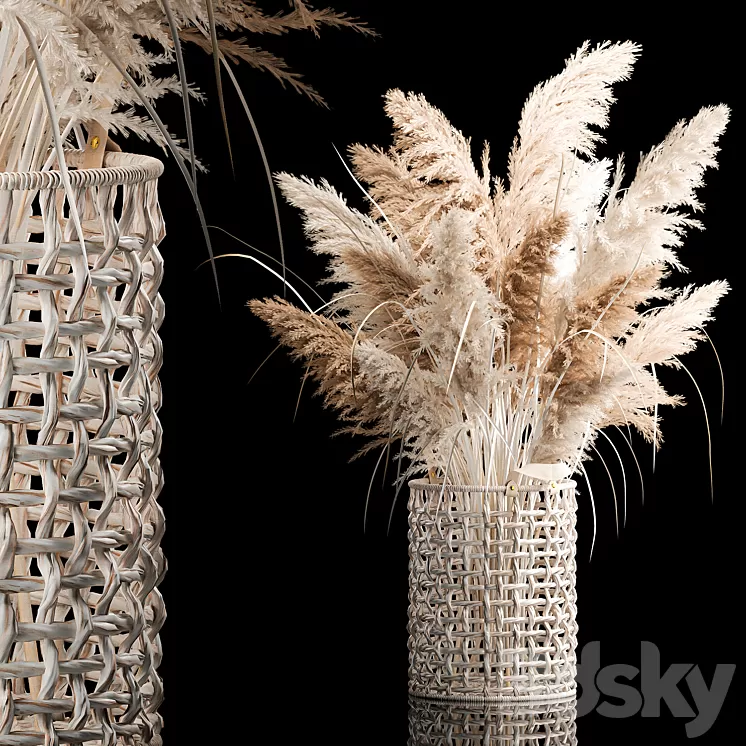 Bouquet of white dried flowers in a wicker basket reeds pampas grass Cortaderia. 256. 3D Model Free
