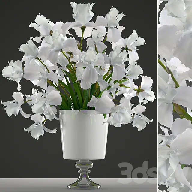 Bouquet of white flowers 45. White Irises. vase. decor. flower 3DModel