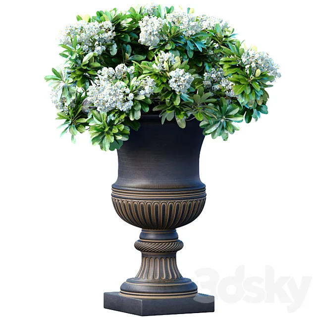 Bouquet of white flowers in a classic black vase for decoration 3D Model