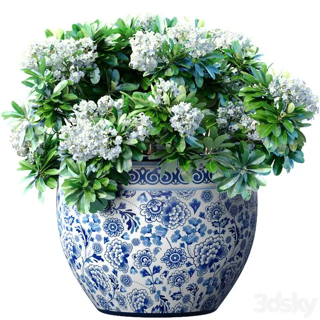 Bouquet of white flowers in a potted vase for decoration 3D Model