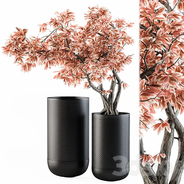 Bouquet Set 17 - Pink Bonsai 3DModel