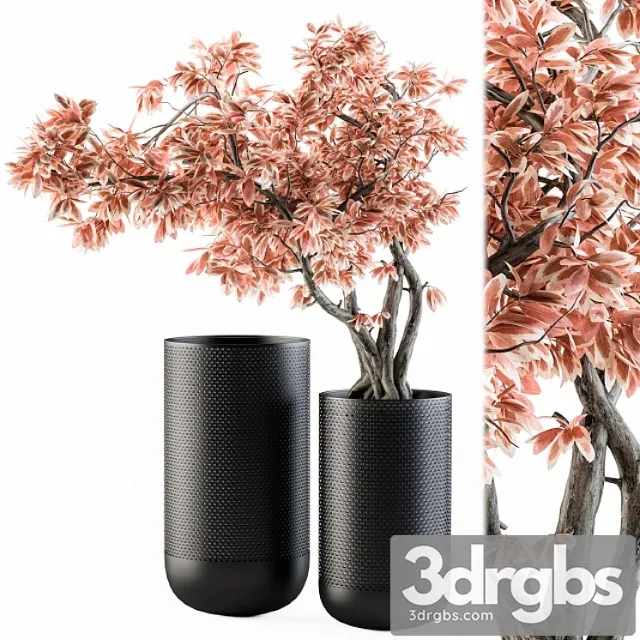 Bouquet set 17 - pink bonsai