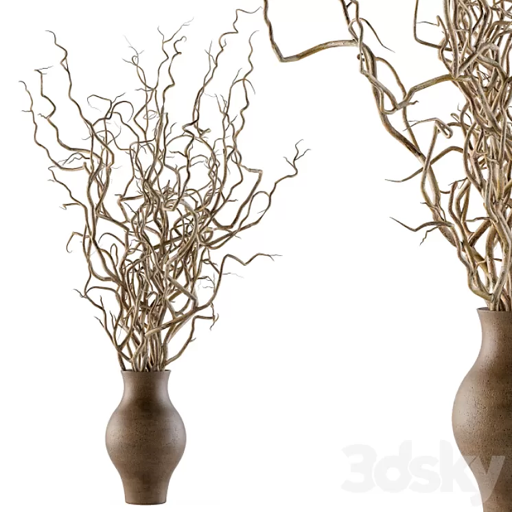 Bouquet Set 19 - Dried twisted branches 3D Model Free