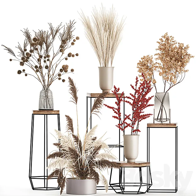 Bouquet set 212. Dried flower. vase. decor. shelf. branches. thorns. pampas grass 3DModel