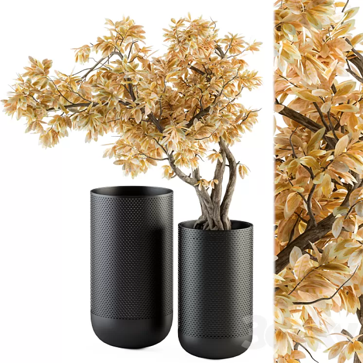 Bouquet Set - Autumn Branch in Black Vase 78 3D Model Free