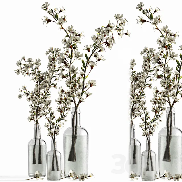 Bouquet to cozy the house 3D Model