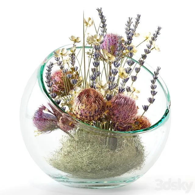 Bouquet with dry protea lavender and white flowers 3D Model