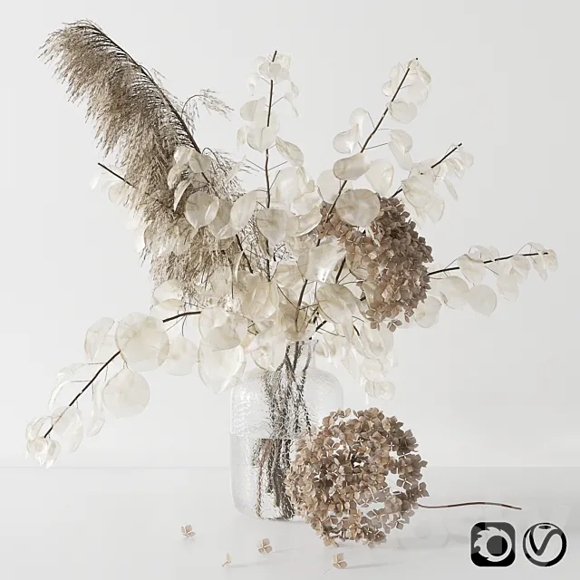 Bouquet with lunaria. pampas grass and hydragea 3DModel